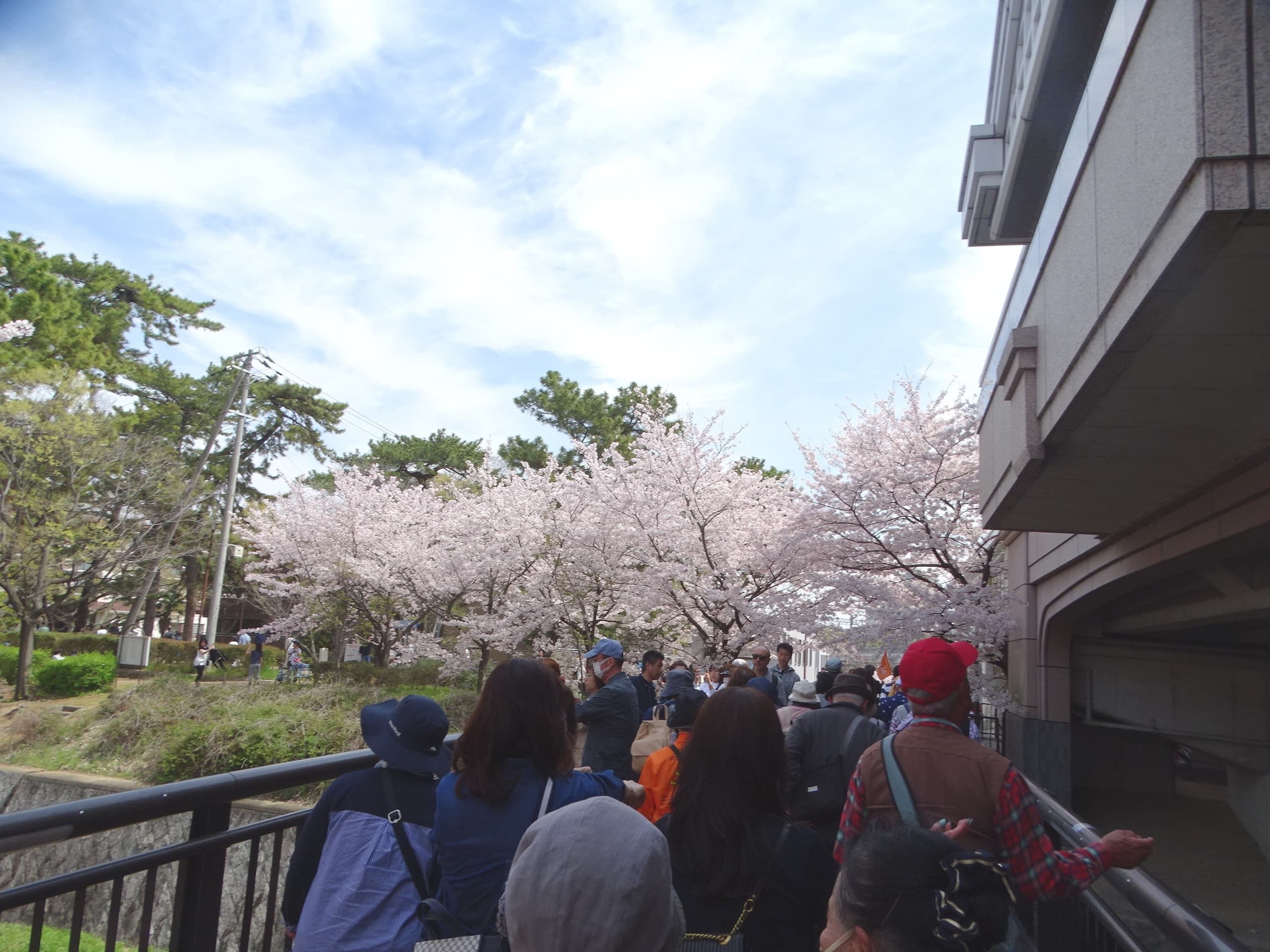 dsc05216.jpg