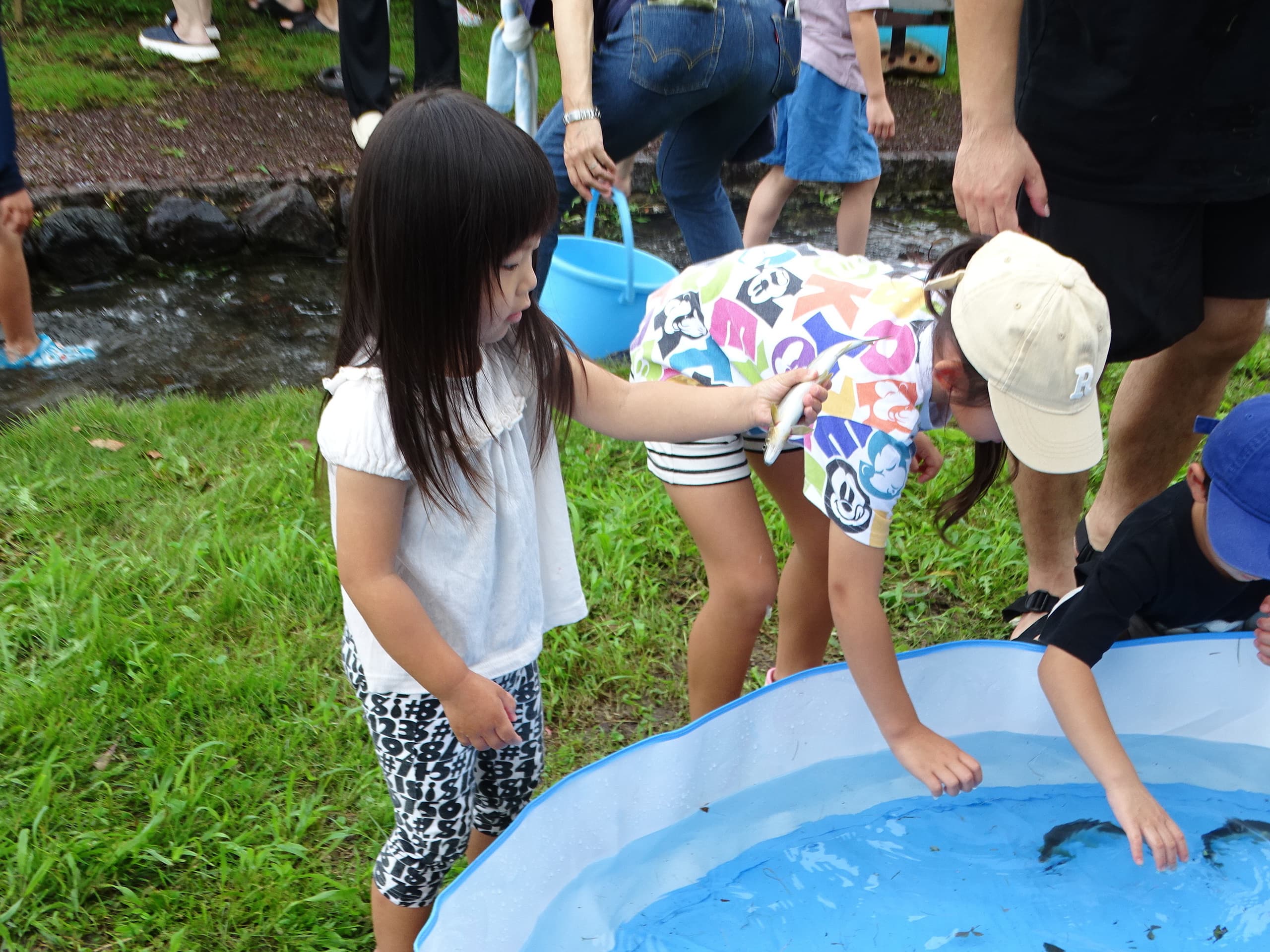 dsc08094.jpg